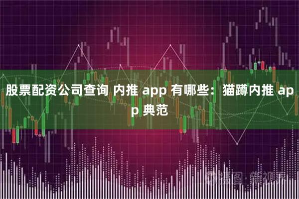 股票配资公司查询 内推 app 有哪些：猫蹲内推 app 典范